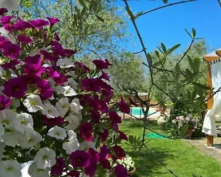 Farm stay Agriturismo Le Dolci Colline D'abruzzo Pianella (Siena)